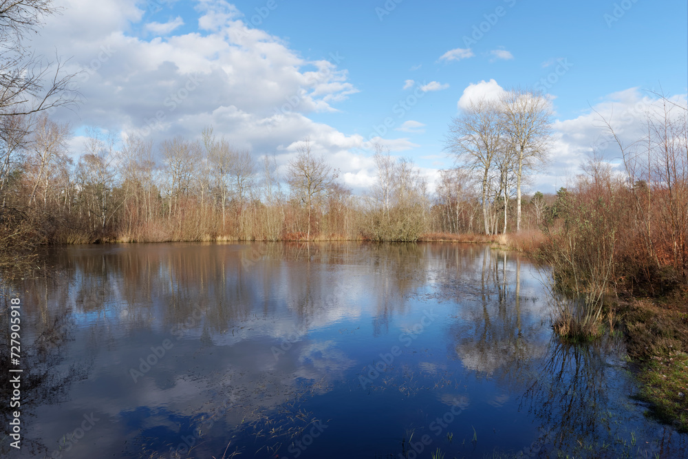 Coquibus pond in winter season. Fontainebleau forest 