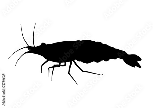 Silhouette of shrimp, crustacean - vector illustration