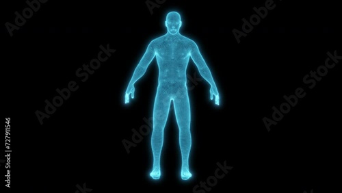 Neon Blue Human Body 4k glowing 3d Hologram loop animation for medical, educational and anatomy
