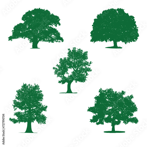 Set of abstract oak tree logo vector design illustration
