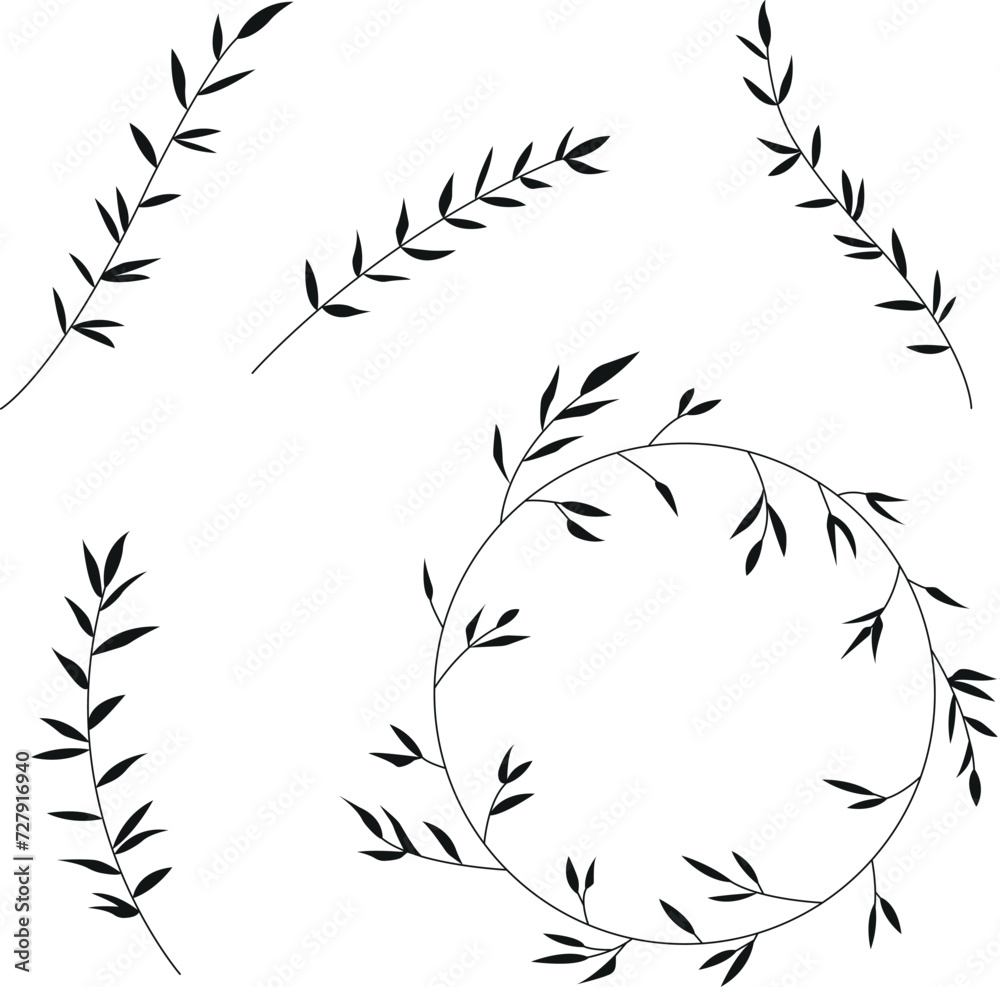 Minimalistic line art set plant branches isolated on white background