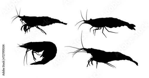 Set of shrimp silhouettes - vector illustration