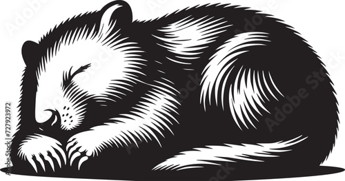 Dreaming Wombat