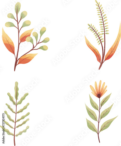 leaf, vector, autumn, illustration, nature, decoration, wreath, plant, flower, gold, leaves, pattern, art, design, floral, yellow, wheat, fall, frame, laurel, tree, branch, ear, brown, icon