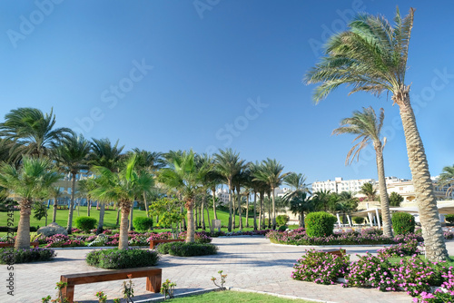 Beautiful landscape with Tropical palm trees, green lawn and resort building. atmosphere exotic natural background Territory of hotel.