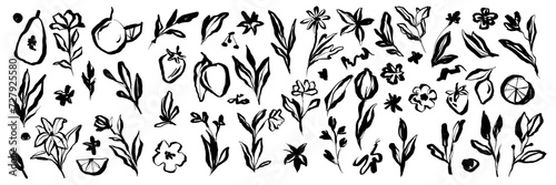 Doodle ink floral sketch set, vector flower brushstroke collection, hand drawn organic icon kit. Abstract naive botanical outline modern spring decoration design element. Doodle floral texture clipart