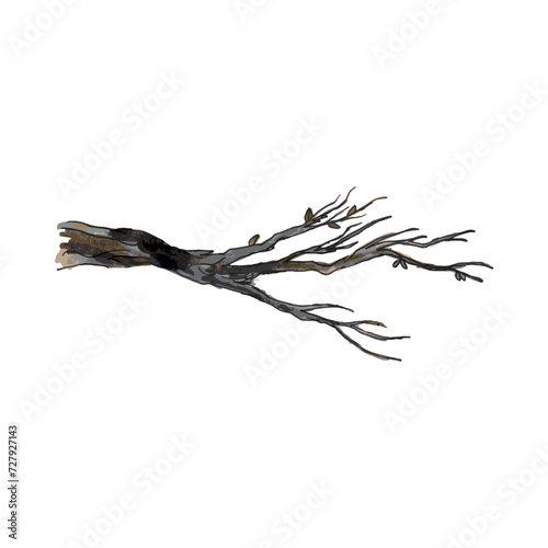Water Colored Old Tree Branch Vector Illustration