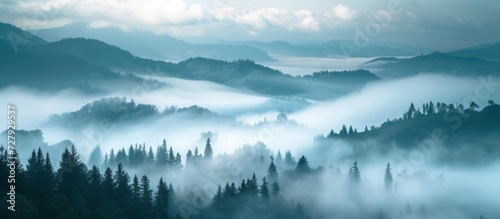 Majestic Shrouded Mountains and Enchanting Forest in a White Sea of Clouds © TheWaterMeloonProjec