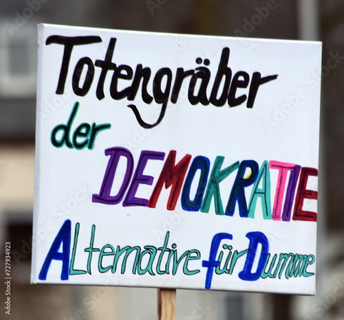 Schild: "Totengräber der Demokratie - Alternative für Dumme"