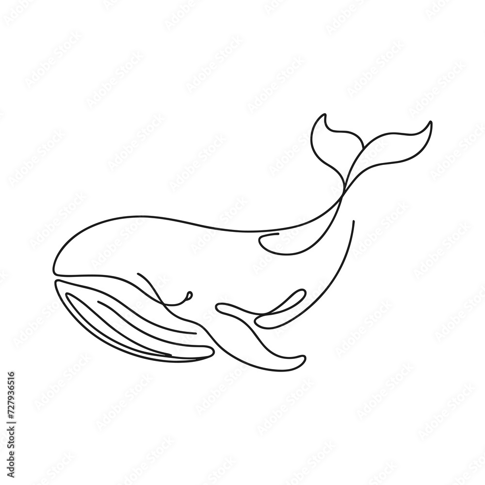 A whale of a line drawing style A whale of a line drawing style