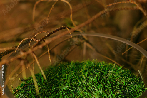 Fallen spruce needles. Christmas tree needles in a glass flask.