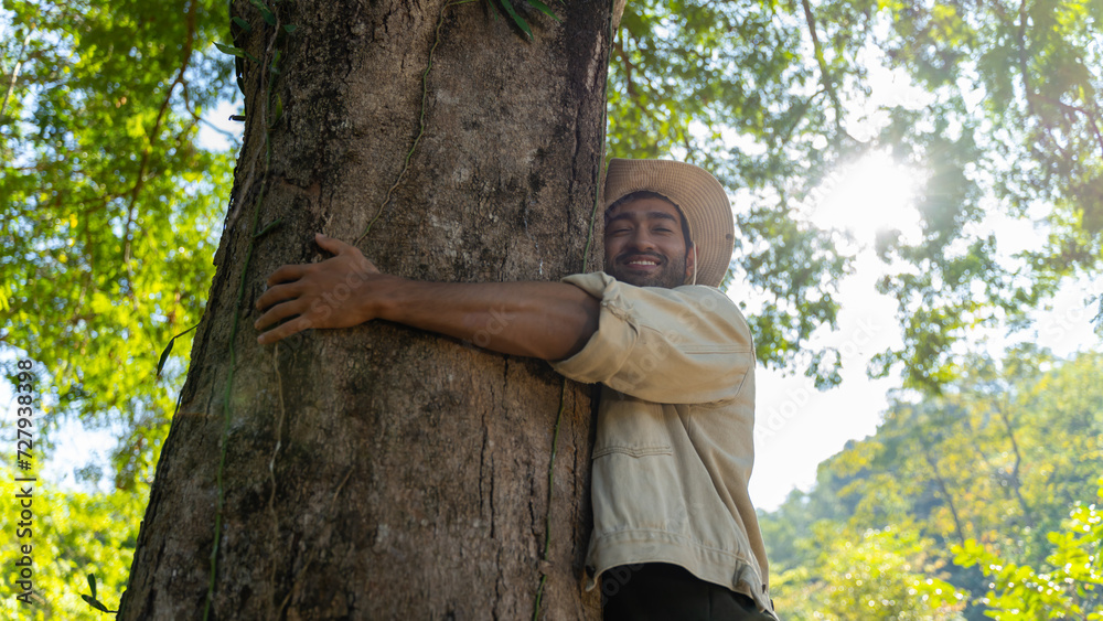 Embrace the big tree green forest in sun light.green forest of ...