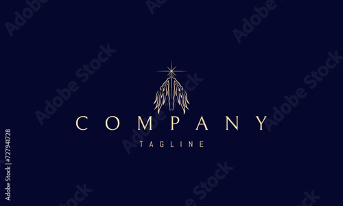A vector golden logo with an abstract image of a soaring angel with wings and a shining star.