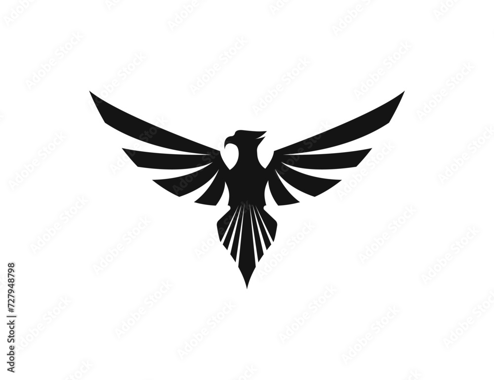 Obraz premium Eagle logo with wings symbol. 