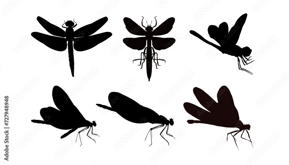 Set of dragonfly silhouette Set of dragonfly silhouette