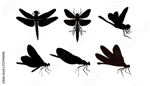 Set of dragonfly silhouette isolated on white background © KR Studio