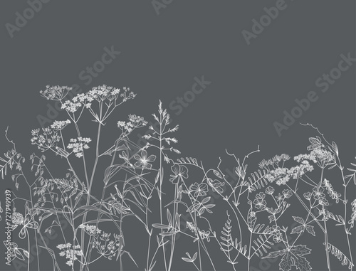 Seamless pattern. Field flowers and grasses, line drawing. Vector illustration