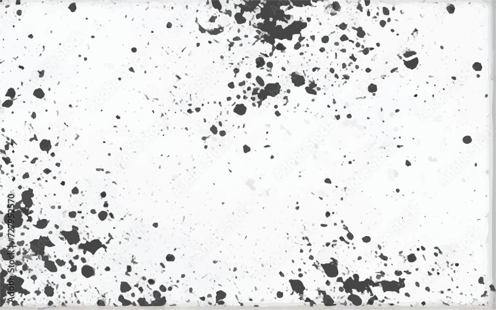 Black paint splatter isolated on white background. vector black and white ink splats. Abstract background illustration. Dust Overlay Distress Grain. Black and white Grunge art. EPS 10.