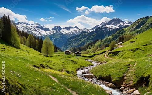 Mountain landscape in the Alps with blooming meadow photo