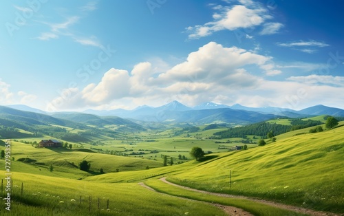 Panorama of beautiful countryside. Sunny afternoon © Stormstudio
