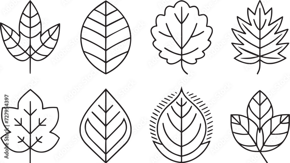 leaves thin line icon set vectors collections. 