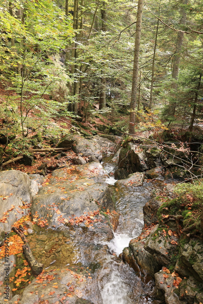 Blick auf die Rißlochwasserfälle bei Bodenmais im Bayerischen Wald Blick auf die Rißlochwasserfälle bei Bodenmais im Bayerischen Wald
