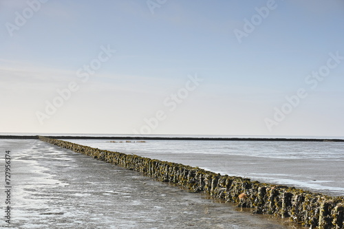 Lahnung als Küstenschutz im Wattenmeer photo