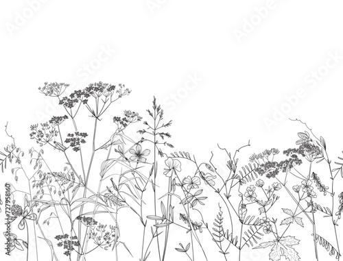 Seamless pattern. Field flowers and grasses, line drawing. Vector illustration	