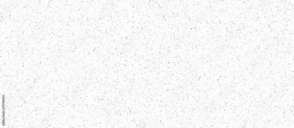White granite terrazzo floor seamless pattern .concrete textured surface .Grain dots white wall background texture .stone granite black white background marble surface pattern.	