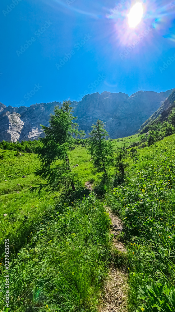 Panoramic hiking trail in idyllic forest looking at massive mountain ridges of Julian Alps in summer. Italian Alps near Tarvisio, border Slovenia and Austria, Friuli Venezia Giulia, Italy, Europe
