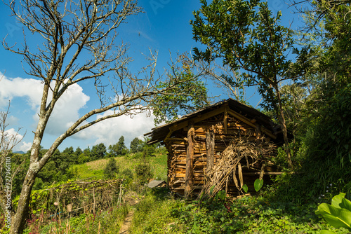 wooden house in Vietnam photo