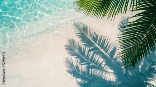 top view of water surface with tropical leaf shadow. Shadow of palm leaves on white sand beach. © Eva Corbella