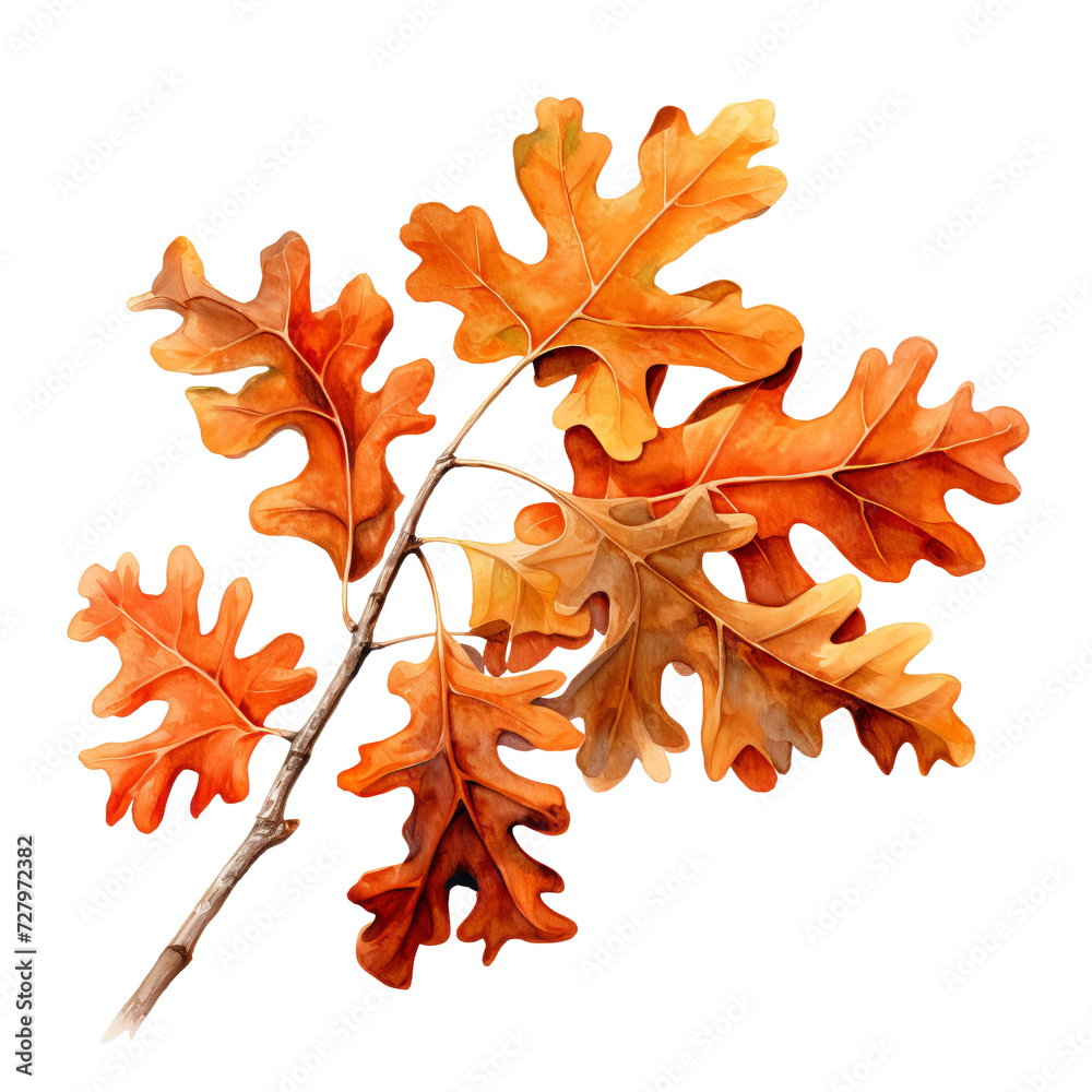 Obraz premium autumn leaves isolated on white