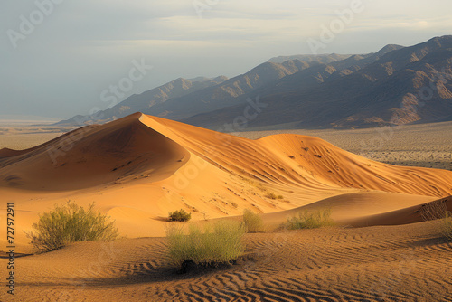 Unforgiving Terrain: Desert Vista