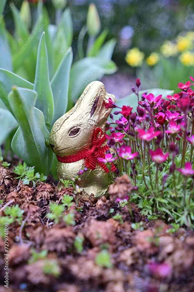 Obraz premium Schokoladenosterhase