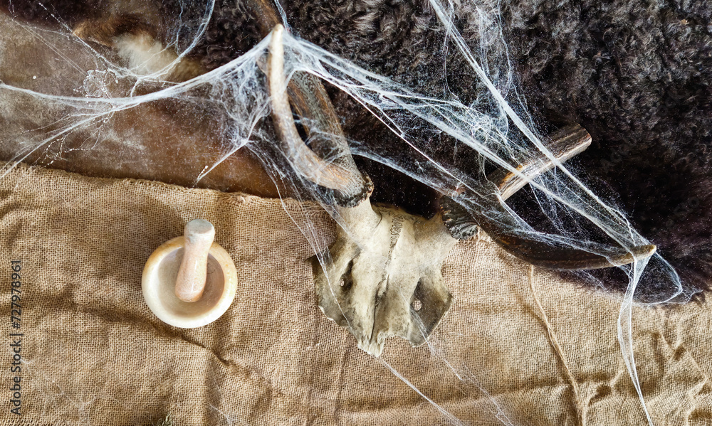 skull with horns in spider web - obrazy, fototapety, plakaty 