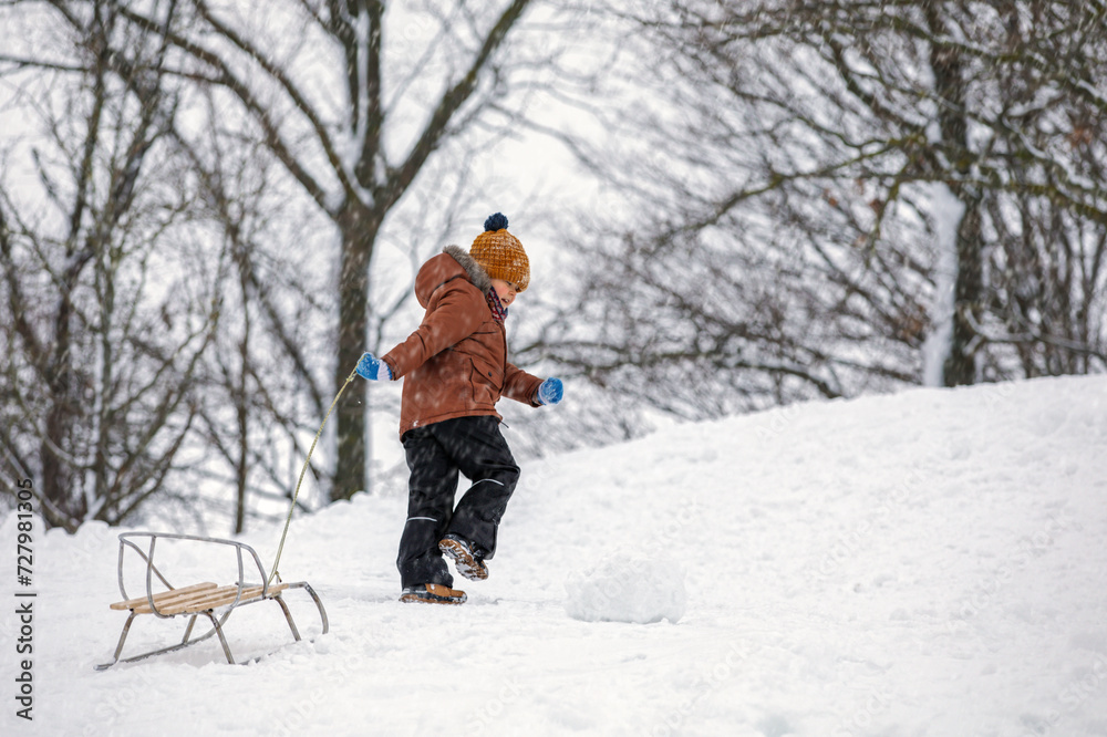A small boy in a brown coat is photographed from behind holding a rope and pulling his sled up a hill