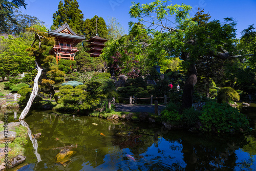 Japanese garden in San Francisco