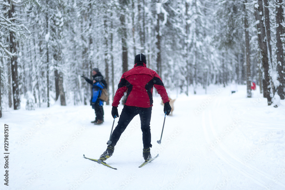 People ski in winter on a ski track through a winter forest.Cross Country skiing. People ski in winter on a ski track through a winter forest.Cross Country skiing.