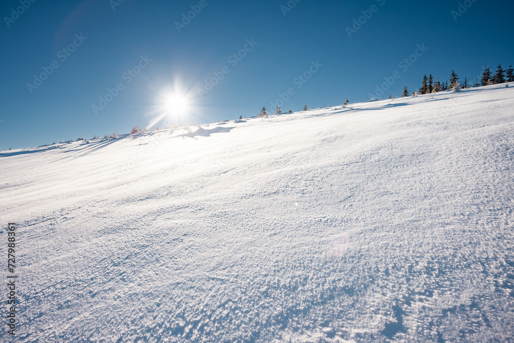 Stunning nature scenery of wintertime on a frosty day.