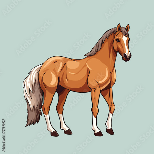 horse illustration on white background