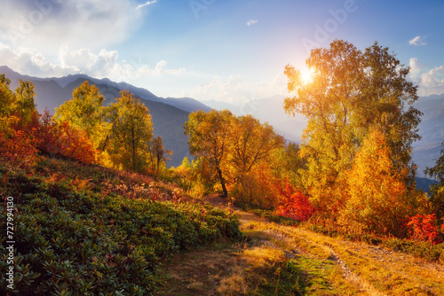 A gorgeous view of the mountain area with autumn trees. Zemo Svaneti, Georgia, Main Caucasian ridge. photo
