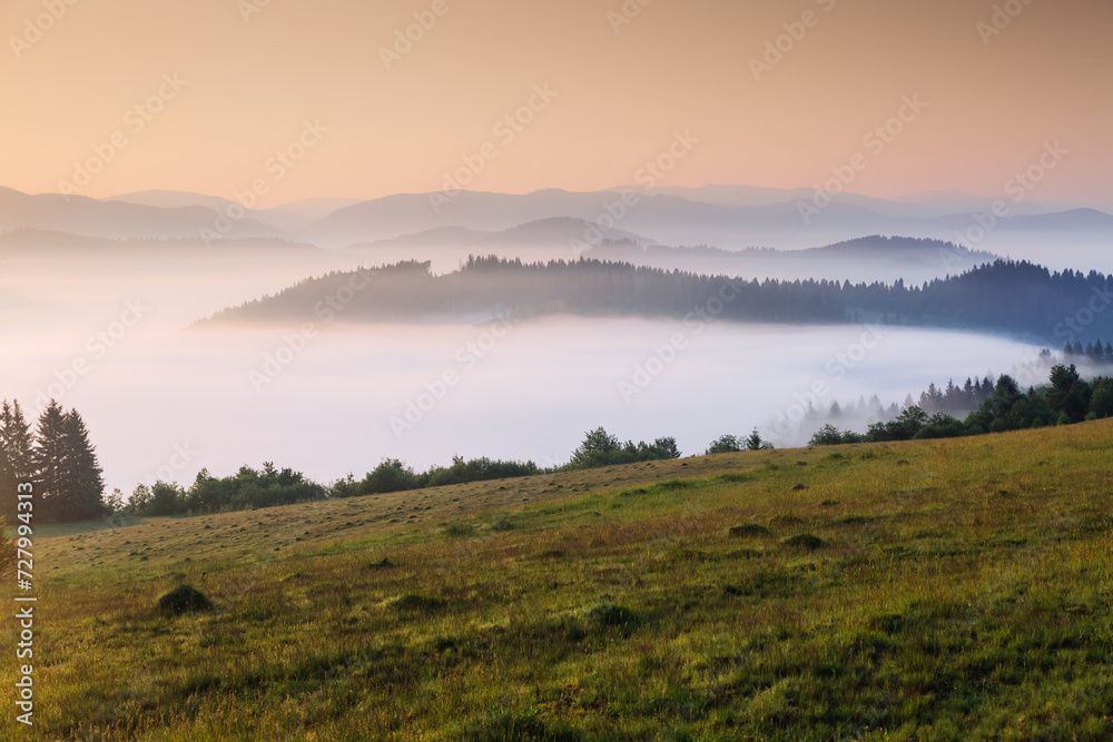 A tranquility view of the mountainous area in the haze. Carpathian National Park, Ukraine, Europe. A tranquility view of the mountainous area in the haze. Carpathian National Park, Ukraine, Europe.
