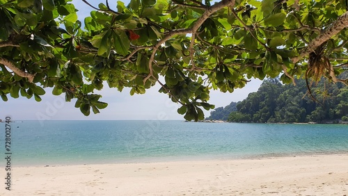 Fototapeta Naklejka Na Ścianę i Meble -  Blue Water Beach Green Tree Pangkor Island Malaysia