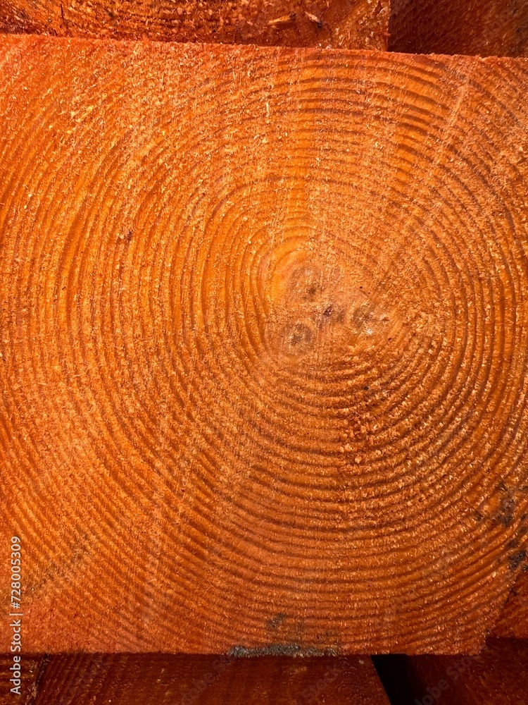 Impregnated piece of construction wood, close up view of wood cut.