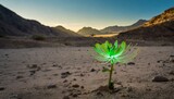 A glowing green seed rests peacefully among a baron sandy wasteland, signalling hope for the environment and recovery from pollution to promote eco friendly sustainability and reduced carbon emissions