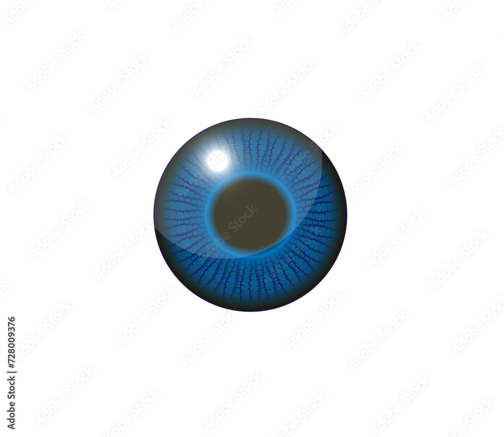 Vector illustration of a pupil or eye lens in beautiful color Vector illustration of a pupil or eye lens in beautiful color