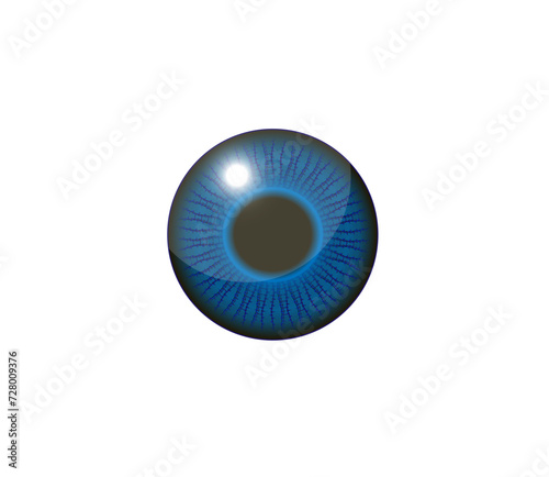 Vector illustration of a pupil or eye lens in beautiful color	