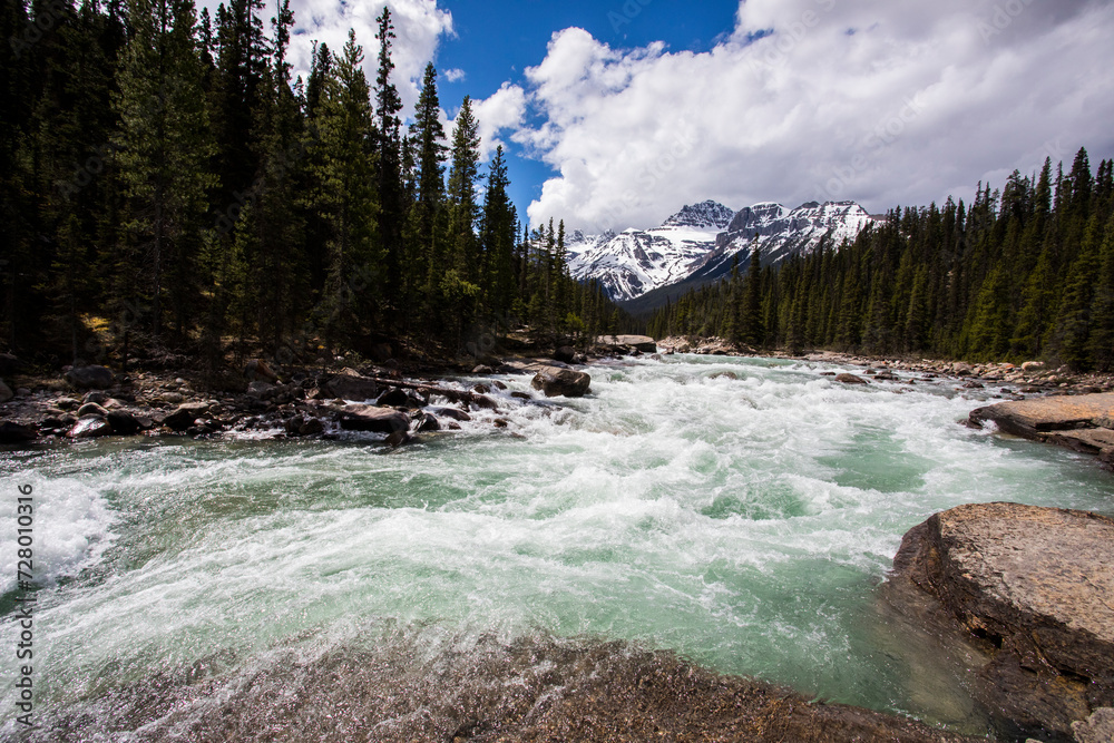 Summer landscape in Mistaya Canyon, Banff National Park, Canada Summer landscape in Mistaya Canyon, Banff National Park, Canada