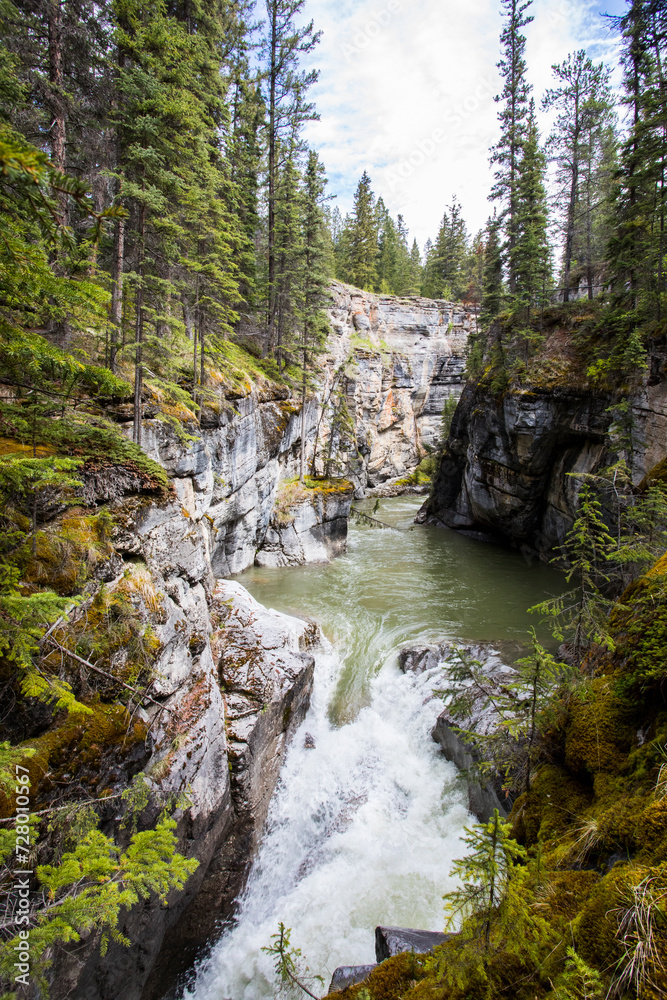 Summer landscape in Maligne Canyon, Jasper National Park, Canada Summer landscape in Maligne Canyon, Jasper National Park, Canada